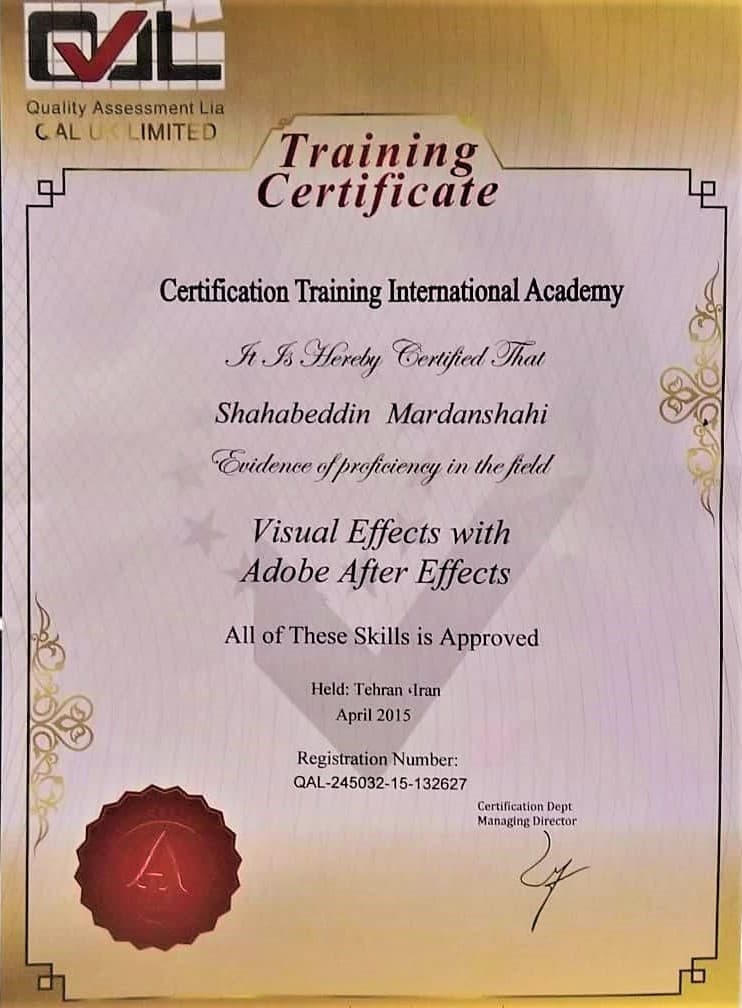 QAL Certified Visual Effects Artist